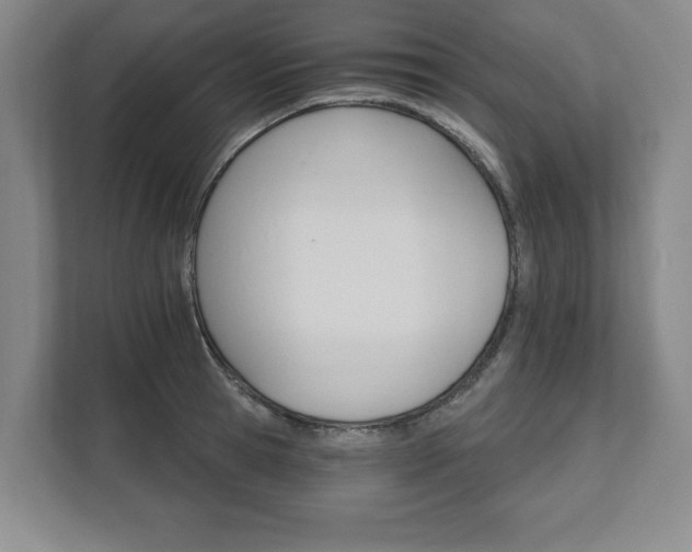 X0000111580945200907231232