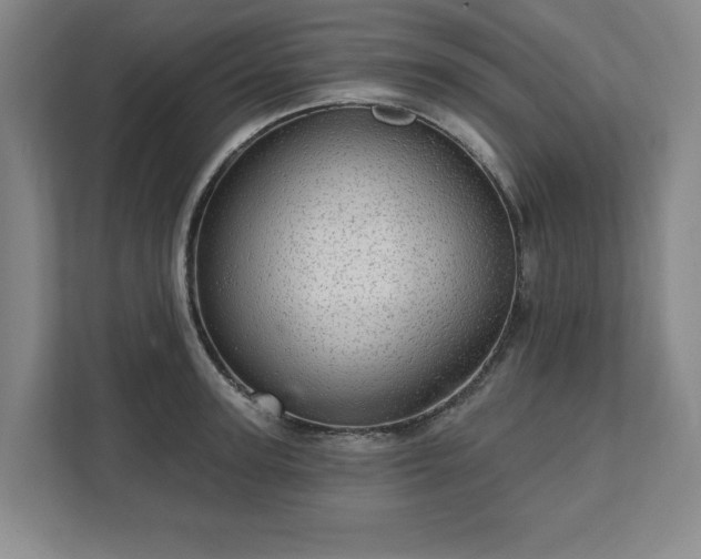 X0000111580947200907231232