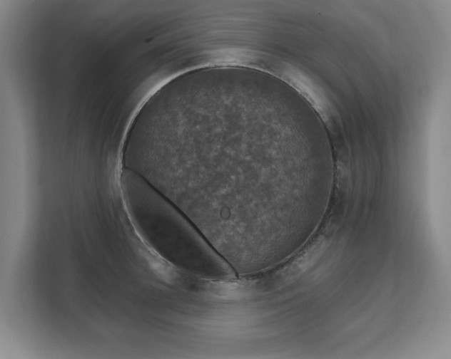 X0000111580948200907231232