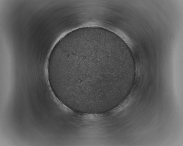 X0000111580950200907231233