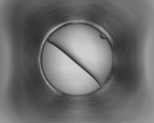 X0000111580951200907231233