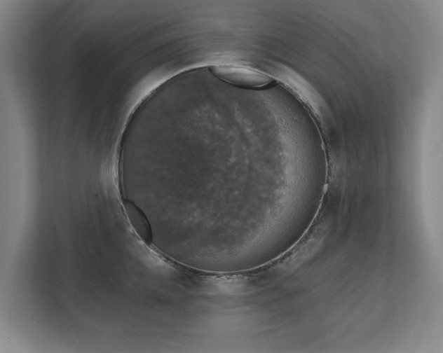 X0000111580952200907231233