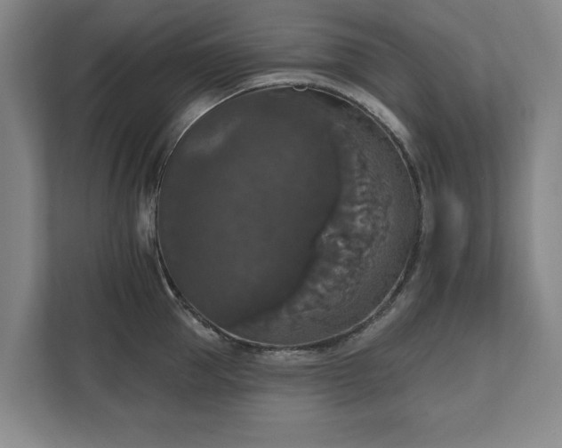 X0000111580953200907231233