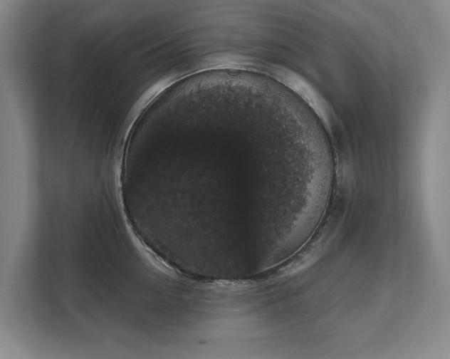 X0000111580954200907231233