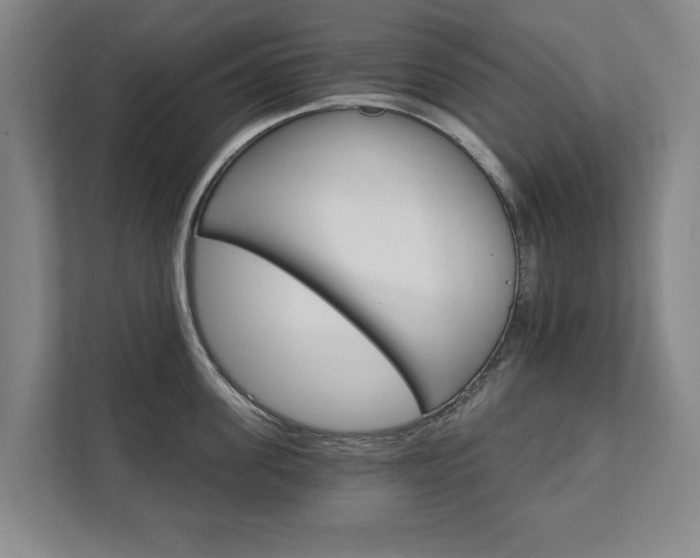 X0000111580955200907231233