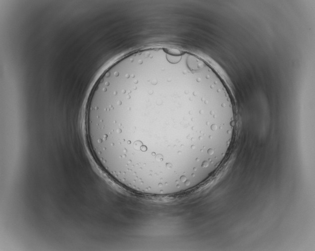 X0000111580957200907231233