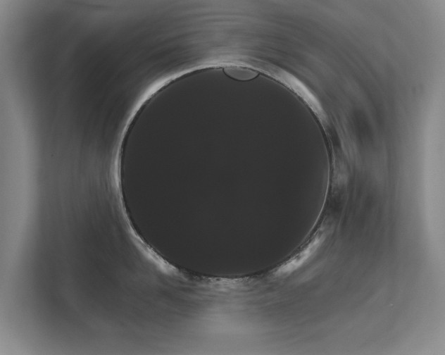X0000111580958200907231233