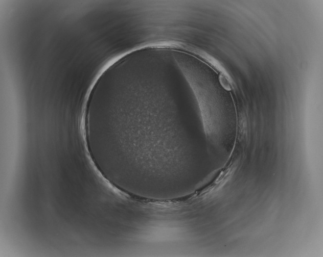 X0000111580959200907231233