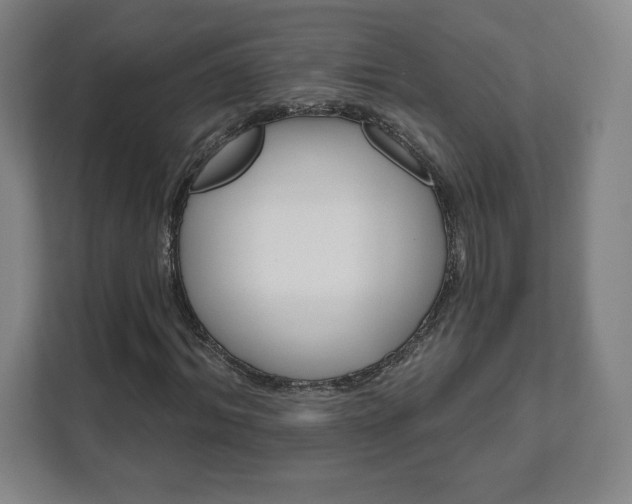 X0000111580964200907231232