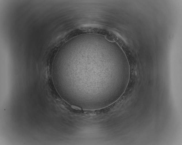 X0000111580965200907231232