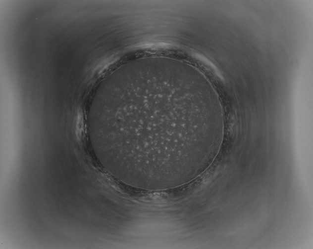 X0000111580966200907231232