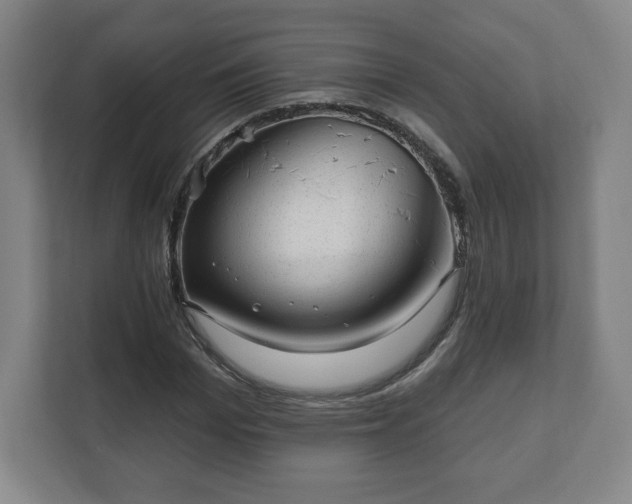 X0000111580969200907231232