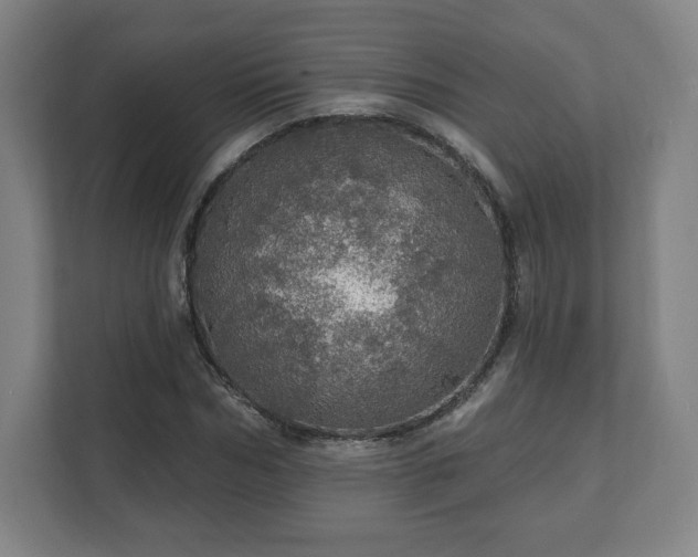 X0000111580970200907231232