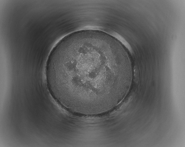 X0000111580972200907231232