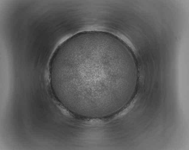 X0000111580974200907231232
