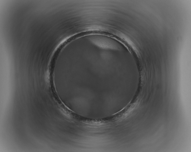 X0000111580975200907231232