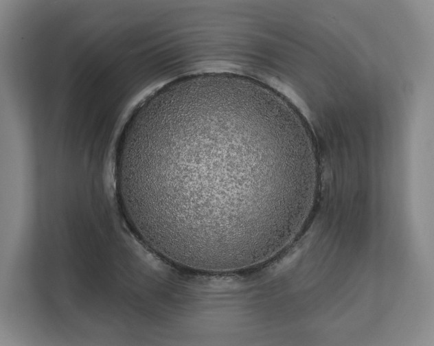 X0000111580979200907231232