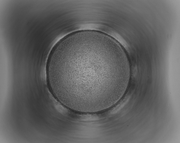 X0000111580980200907231232
