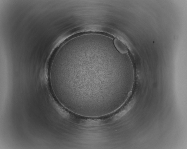 X0000111580981200907231232