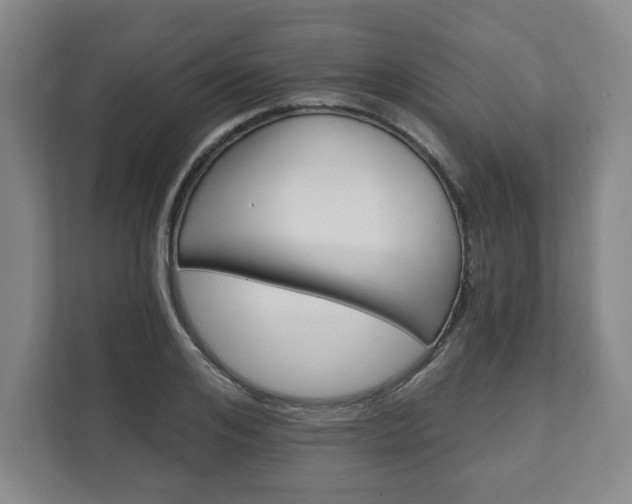 X0000111580984200907231232