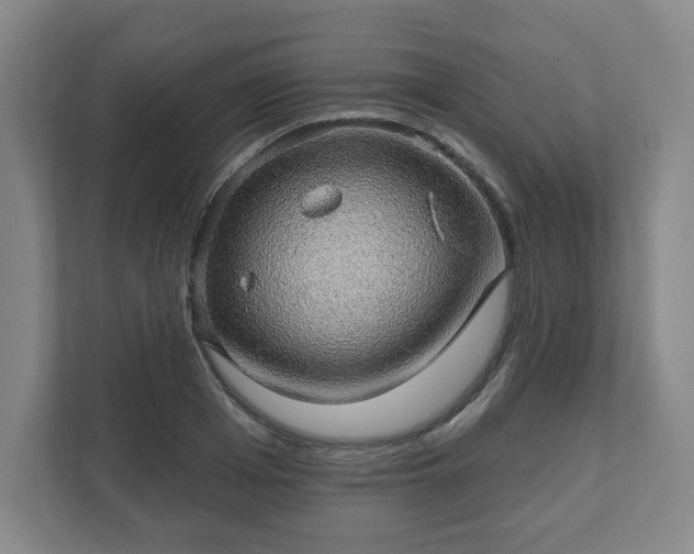 X0000111580985200907231232
