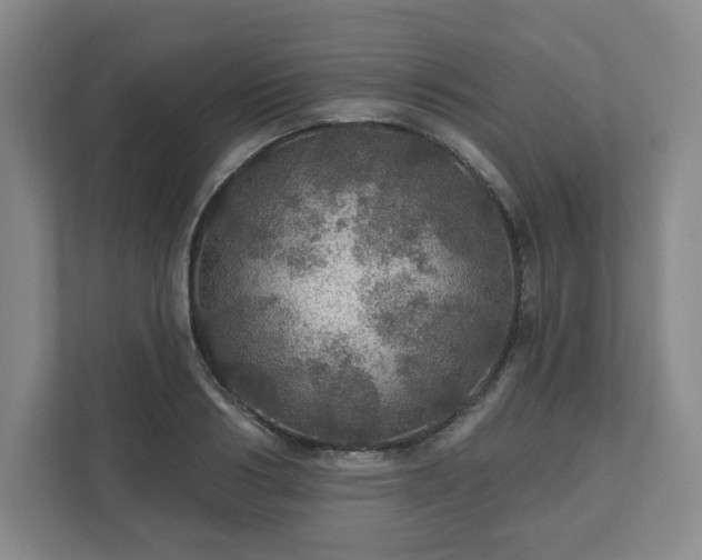 X0000111580986200907231232
