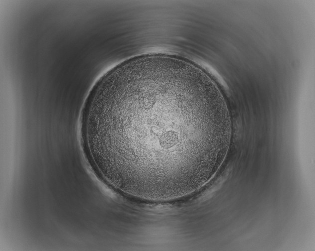 X0000111580991200907231232