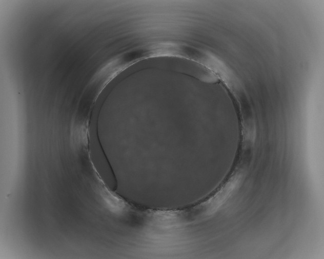 X0000111580993200907231232