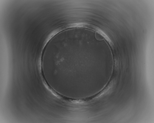 X0000111580994200907231232