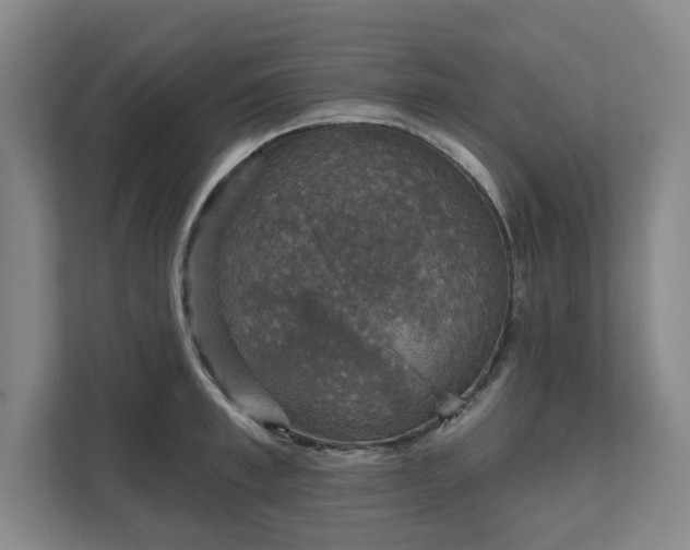 X0000111580997200907231232