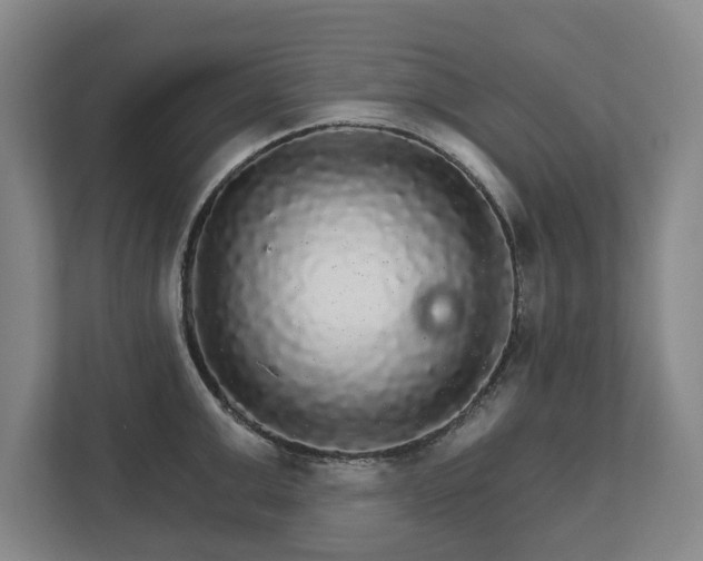 X0000111580999200907231232