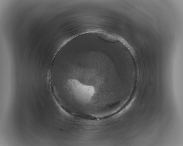 X0000111581001200907231231