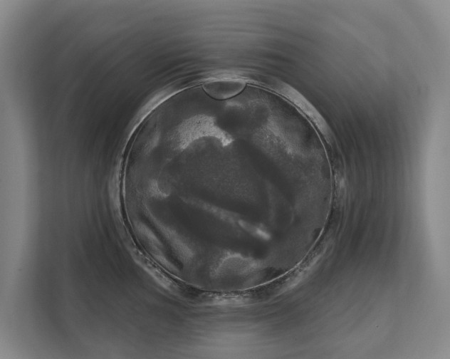 X0000111581002200907231231