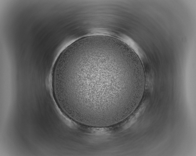 X0000111581003200907231231