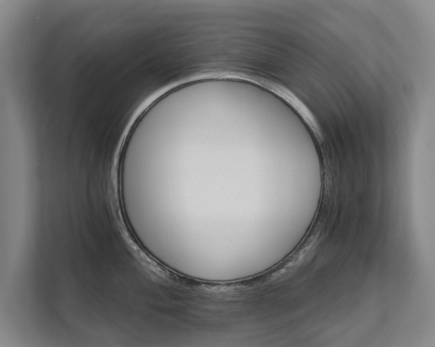 X0000111581004200907231231