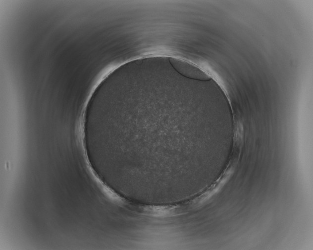 X0000111581005200907231231