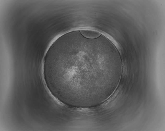 X0000111581006200907231231