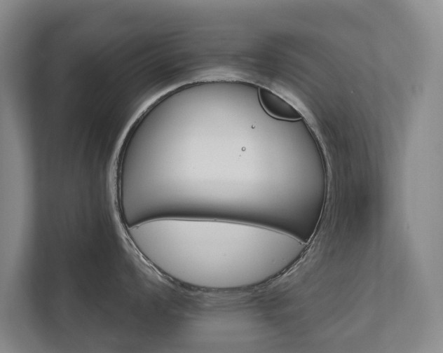 X0000111581008200907231231