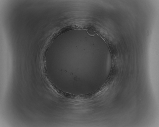 X0000111581009200907231231