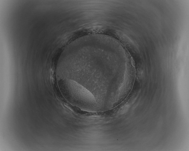 X0000111581010200907231231