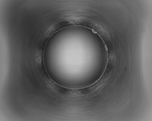 X0000111581012200907231231