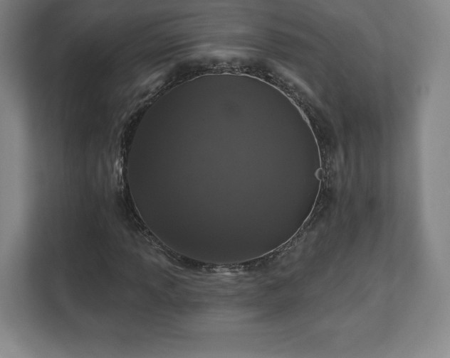 X0000111581013200907231231