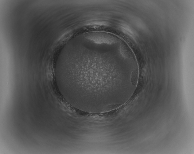 X0000111581014200907231231