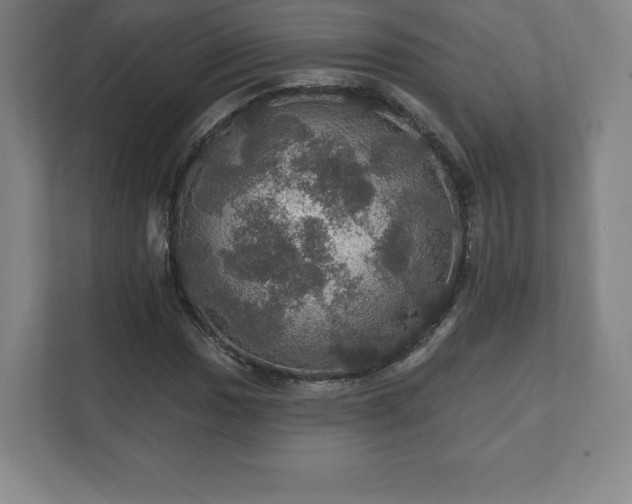 X0000111581017200907231231