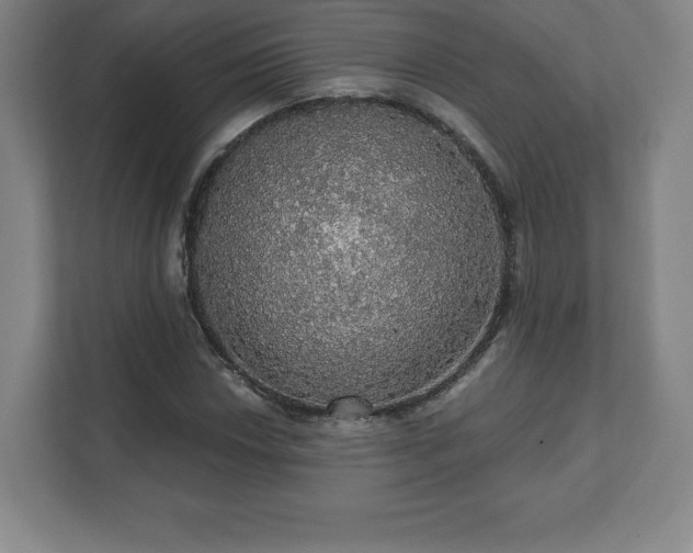 X0000111581018200907231231