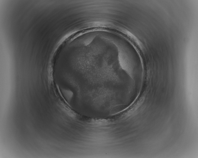 X0000111581019200907231231