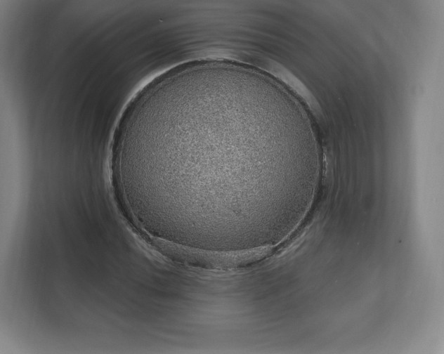 X0000111581020200907231231