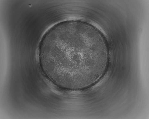 X0000111581021200907231231