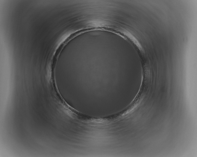 X0000111581023200907231231