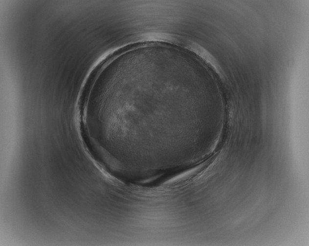 X0000111581024200907231231